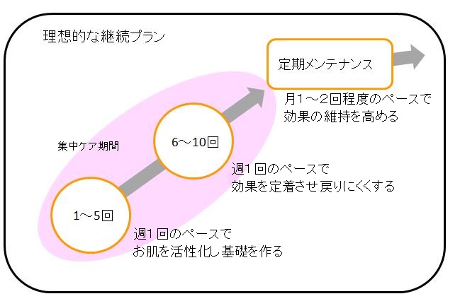 美容鍼施術プラン