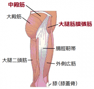 ツライ慢性腰痛を専門施術で改善 豊川市で鍼灸 はり 治療 はりまる鍼灸院